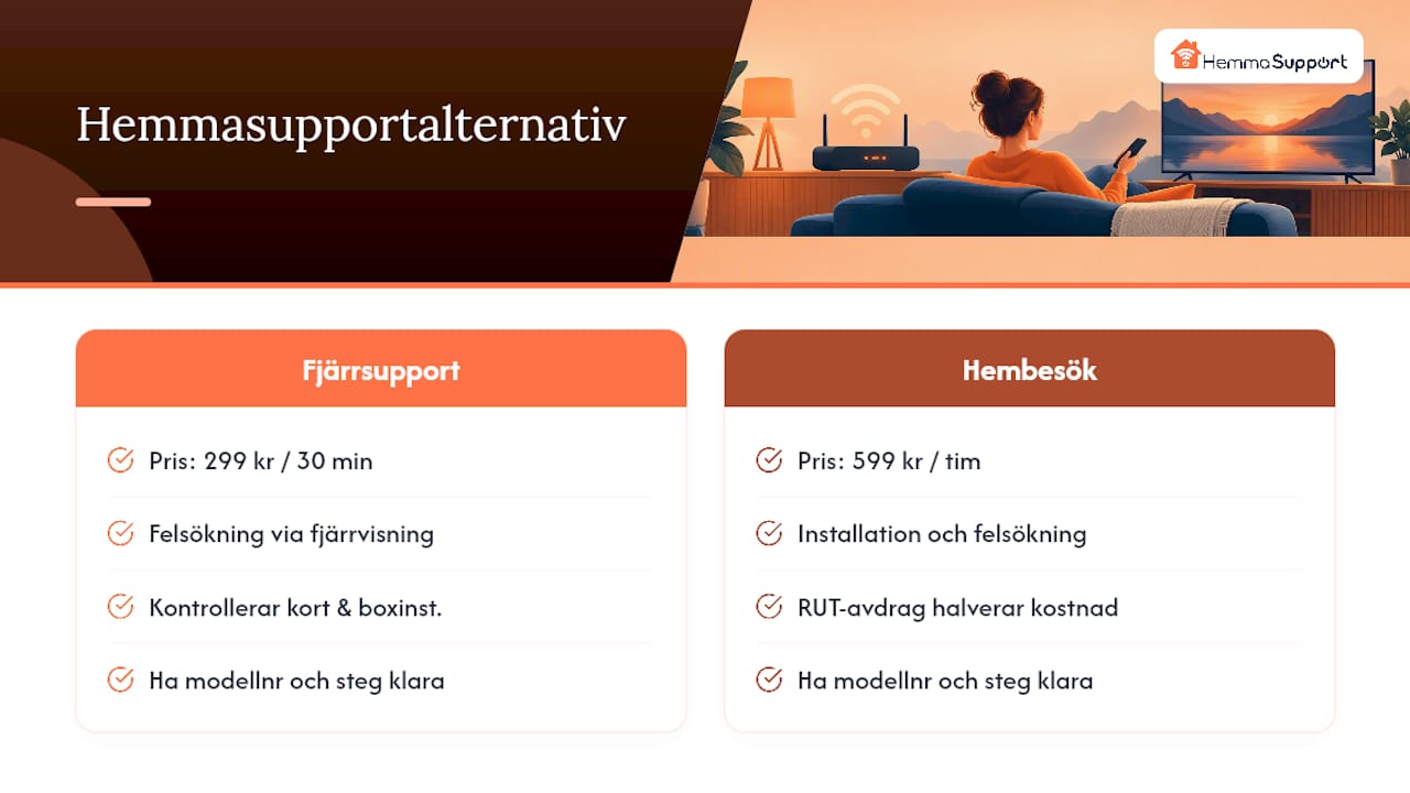 När du behöver professionell hjälp: Hemmasupport som alternativ — overview diagram
