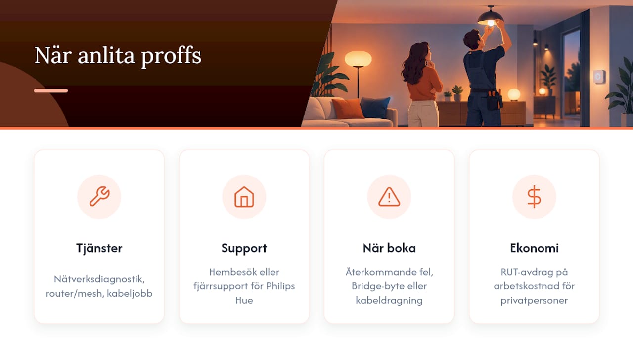 När du behöver professionell hjälp med smart belysning — overview diagram